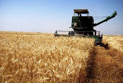 خرید تضمینی گندم از مرز 2 میلیون تن گذشت