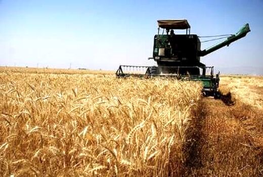 ۱۰۰ دستگاه کمباین در  تویسرکان آماده برداشت محصول گندم و جو در تویسرکان