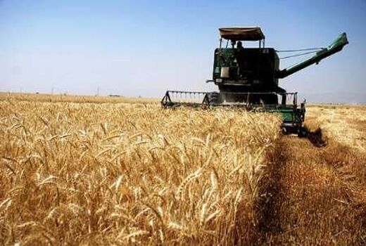 ۱۰۰ دستگاه کمباین در  تویسرکان آماده برداشت محصول گندم و جو در تویسرکان