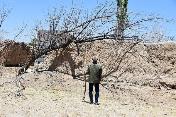 شاهرود جنوبی در بی‌آبی می‌سوزد