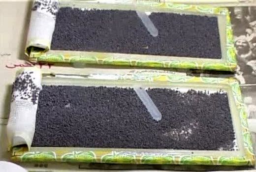 توزیع تخم نوغان در خراسان شمالی آغاز شد