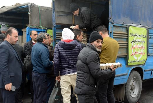 توزیع تخم مرغ به نرخ دولتی در  تبریز آغاز شد