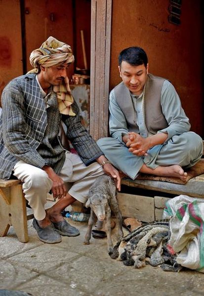 نگاهی به تولید کلاه و پوست قرهقل در افغانستان