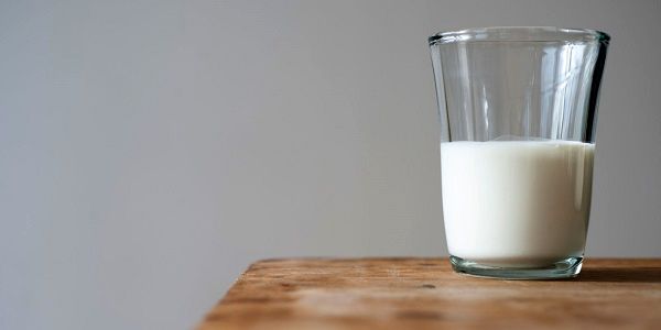 نور؛ تأمین کننده لبنیات 550 هزار نفر از جمعیت مازندران 