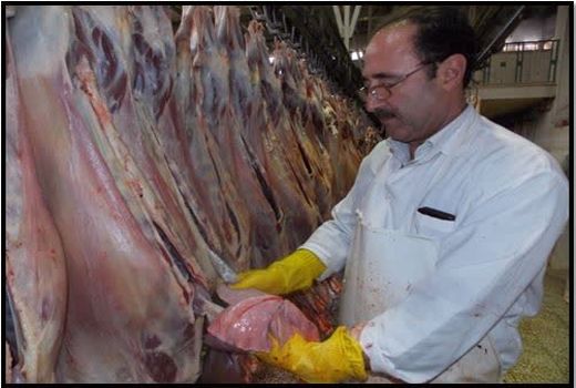 نظارت بر ذبح دام‌های قربانی با ۶۴ اکیپ دامپزشکی آذربایجان غربی