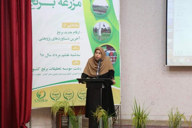 روز ملی برنج