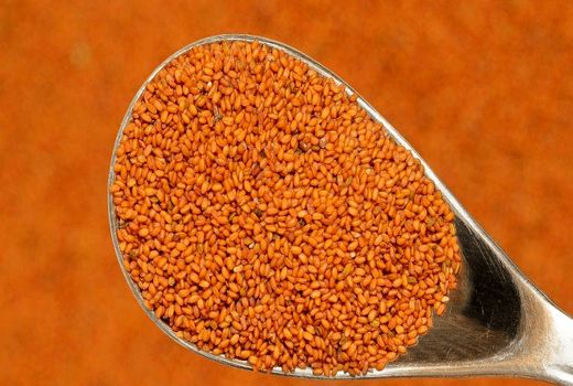 افزایش 28 درصدی کشت خاکشیر در مرودشت