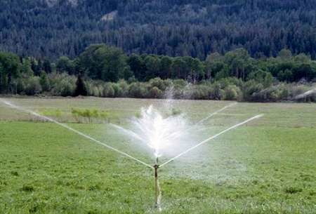 تجهیز 16 هکتار از اراضی کشاورزی بشاگرد به سیستم آبیاری نوین