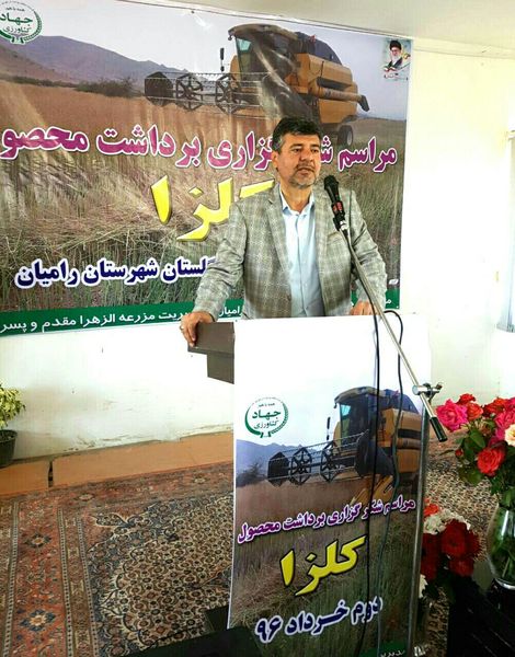 برگزاری مراسم شکرگزاری برداشت کلزا در گلستان