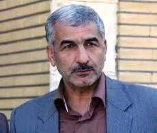 معرفی ارقام جدید گندم برای کاهش سطح زیر کشت/ نگاه محتاطانه به ذخیره‌سازی گندم در سال جاری