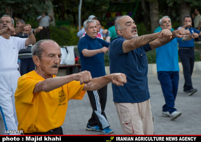 نرمش صبحگاهی
