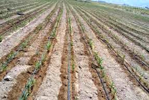ارتقاء کیفیت و راندمان در اراضی کشاورزی خوزستان با اجرای سیستم‌های نوین آبیاری