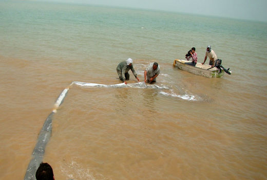 29 میلیون لارو ماهی در آب های سیستان و بلوچستان رهاسازی شد