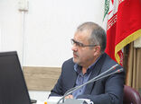 عملیات تولید نشا گوجه فرنگی و سایر صیفی جات در گلخانه‌های اتحادیه تعاون روستایی خراسان رضوی آغاز شد