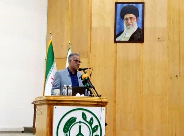 ارقام مقاوم گندم باعث صرفه‌جویی ۹۵۰ میلیون مترمکعب آب شد