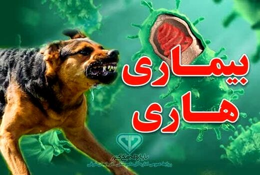 آذربایجان شرقی تنها مرکز ملی انجام آزمایش‌های تشخیص بیماری هاری در کشور