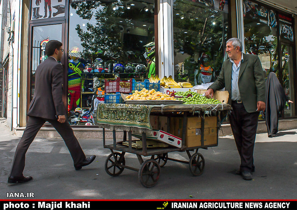 نوبرانه‌های رنگی