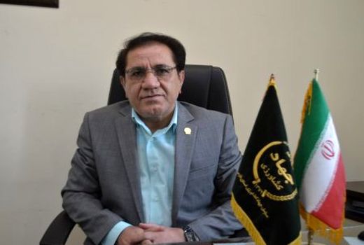 واسطه‌های عرضه مرغ ساماندهی می‌شوند