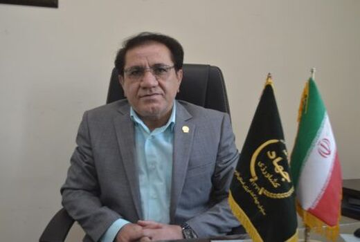آغاز برداشت گندم از مزارع استان فارس