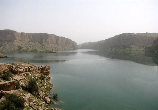 هفت میلیون مترمکعب آب سد رئیسعلی دلواری رهاسازی شد 