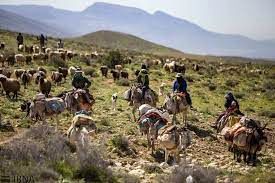 عشایر در فرآوری گیاهان دارویی نقش موثر داشته باشند