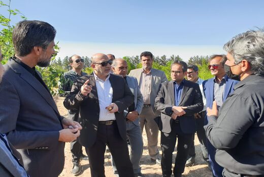 بازدید معاون وزیر از ایستگاه تحقیقات کشاورزی محمدیه