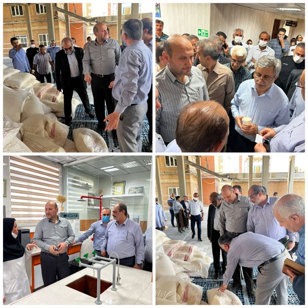 خرید تضمینی گندم در استان تهران به حدود 5200 تن رسید