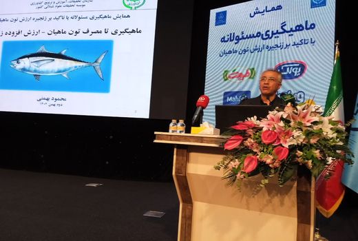 صید تون ماهیان تا دو سال آینده ۳۴۰ هزار تن پیش‌بینی می‌شود