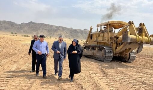 احداث نخلستان تجاری مجول؛ تحول کشاورزی اقتصادی در کهگیلویه و بویراحمد
