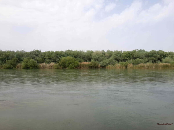 ابلاغ الگوی کشت تابستانه در  حوضه آبریز کرخه