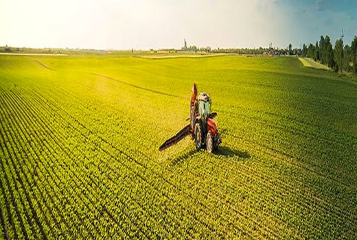 اجرای طرح جهش تولید استان اصفهان در سطح 20 هزار هکتار 