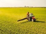 اجرای طرح جهش تولید استان اصفهان در سطح 20 هزار هکتار 