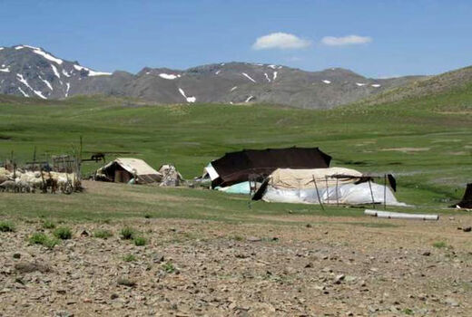 تولید ۵۸۰۰ تن انواع محصولات دامی توسط عشایر استان قزوین