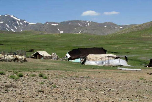 تولید ۵۸۰۰ تن انواع محصولات دامی توسط عشایر استان قزوین