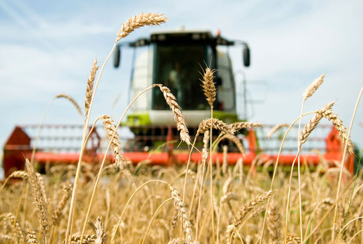 آغاز برنامه های مشترک جهاد کشاورزی و سپاه شهرستان اردل