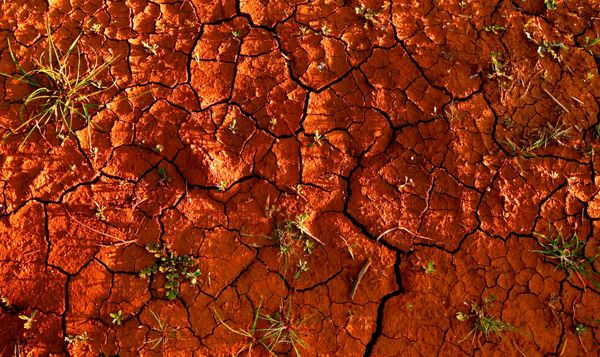 تاثیر سلامت خاک در مبارزه با گرسنگی جهانی