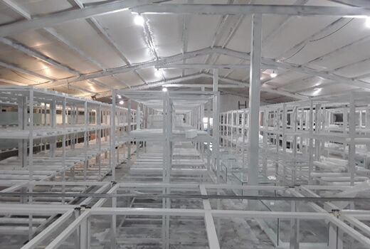 صدور مجوز بهره‌برداری از مزرعه ماهیان زینتی در فارس
