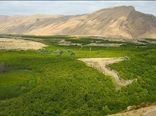 وصول ۶۲ هزار و ۴۲۵ میلیون ریال از فروش اراضی فعال استان بوشهر در یک سال اخیر