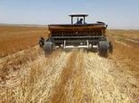 حفظ بقایای گیاهی  در مزارع  خرمشهر