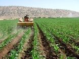 خراسان شمالی 452 هکتار اراضی کشاورزی قابل کشت دارد 