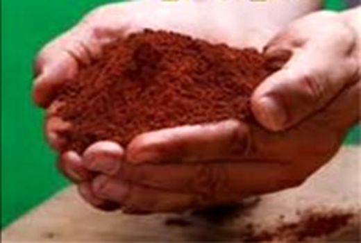 افزایش 150 درصدی تولید محصولات زراعی و 400 درصدی محصولات باغی