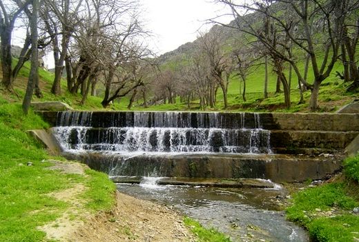 اجرای 800 هزار هکتار آبخیزداری و آبخوانداری در سال جاری