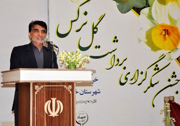 موافقت وزارت جهاد برای بیمه گل نرگس