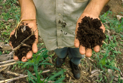 ذخیره‌سازی و افزایش کربن خاک باید در اولویت قرار گیرد