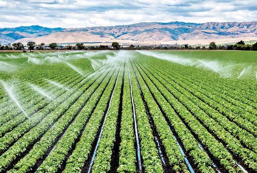 بخش کشاورزی مسئول بحران آب نیست