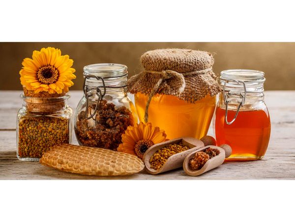 افزایش 11 درصدی تولید عسل در گلوگاه/ تولید 58 هزار کیلو عسل
