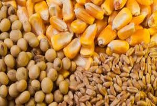 توزیع 102 هزار و 416 تن نهاده‌های دام و طیور در خراسان شمالی