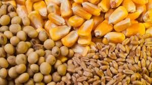 تخصیص 88 هزار تن نهاده دامی در شیراز