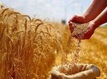  تولید محصولات کشاورزی کشور به ۱۳۷ میلیون تن رسید