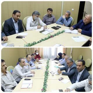 نشست برنامه توسعه کشت دانه‌های روغنی کلزا در قزوین برگزار شد